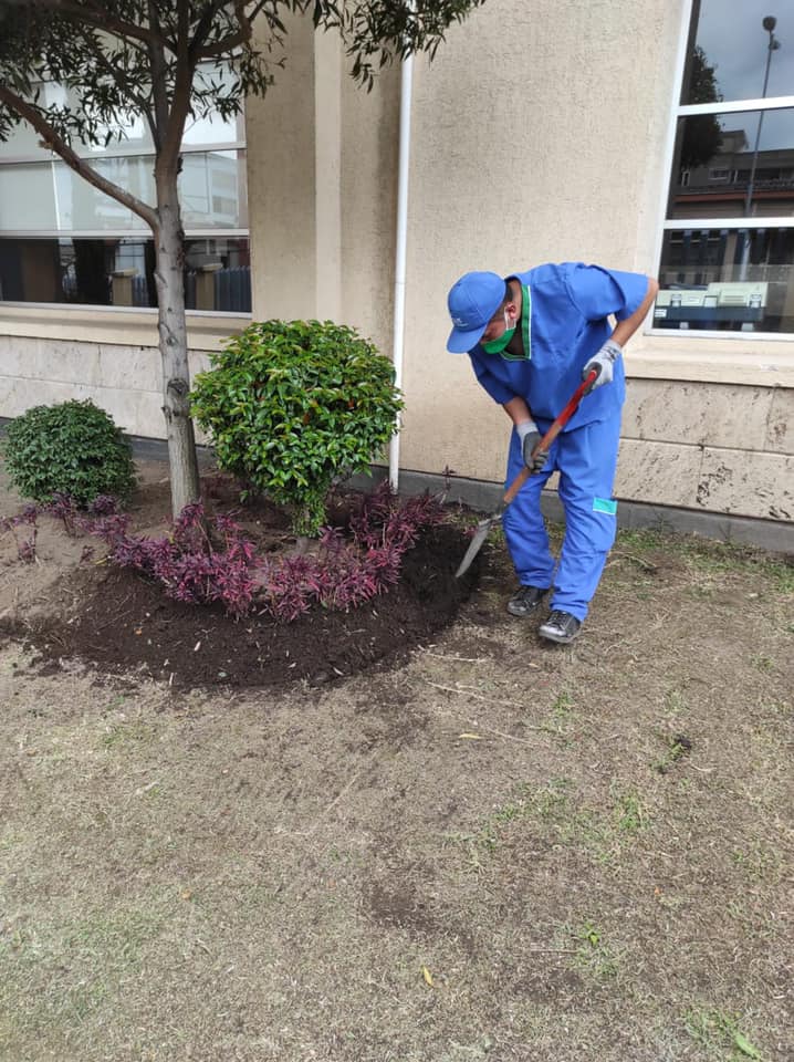 Personal en acción